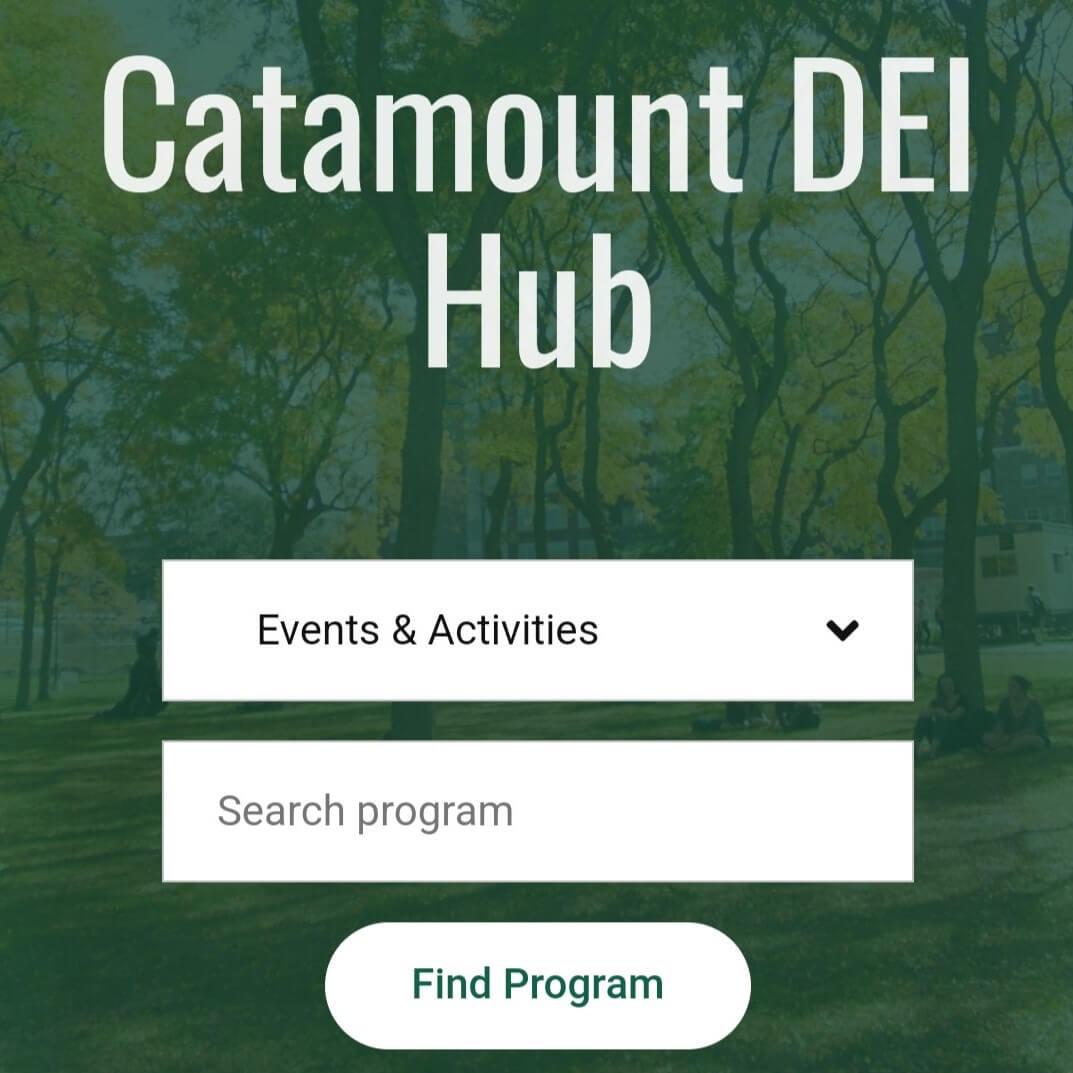 Screen shot of mobile view of the datahub. White text reads "Catamount DEI Hub" and there are input fields below to search and find programs.