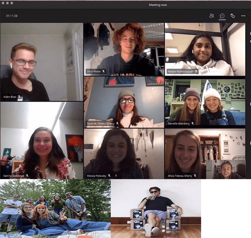 Screenshot of online meeting