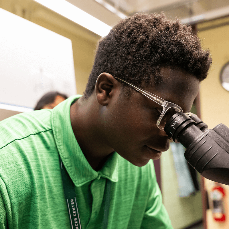 Student looks through a microscope.