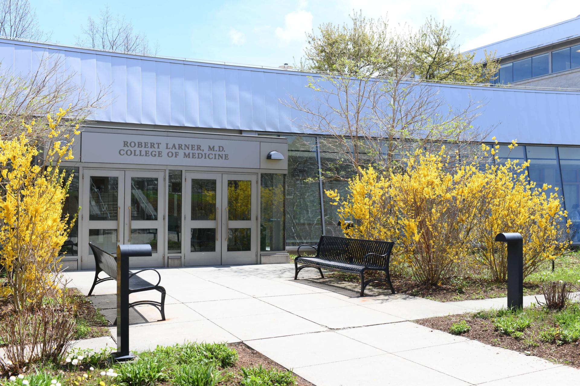 Exterior of LCOM's Given Building during autumn with yellow trees