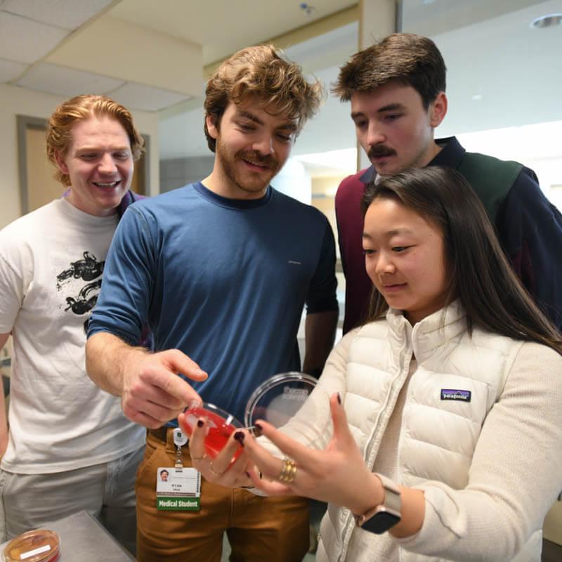 group of students learning in a lab