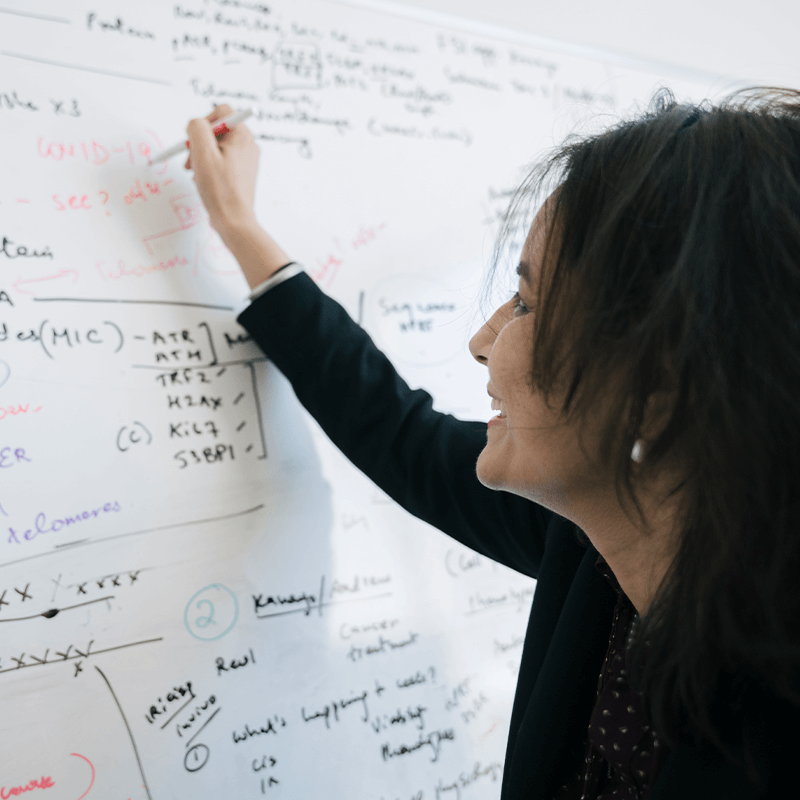 Researcher at white board