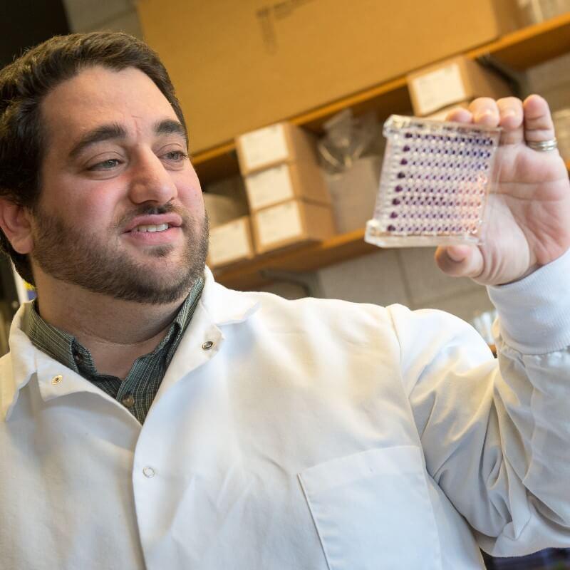 Professor Eyal Amiel in the laboratory