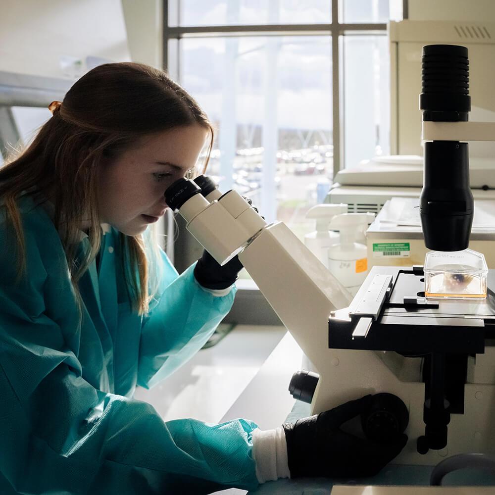 A student researcher peering through a microscope