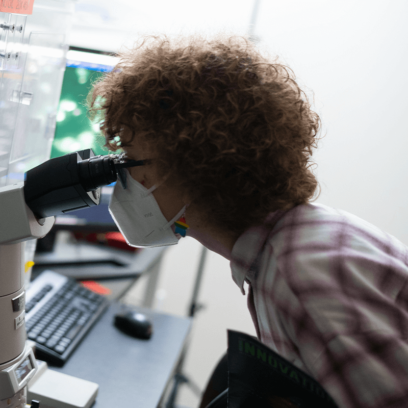 Student peers in to a microscope at the UVM Cancer Center.