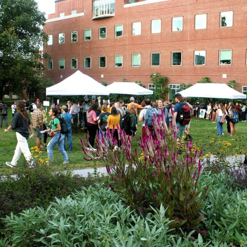 A group of people gathered outside on UVM campus at an event with multiple white tents in the background