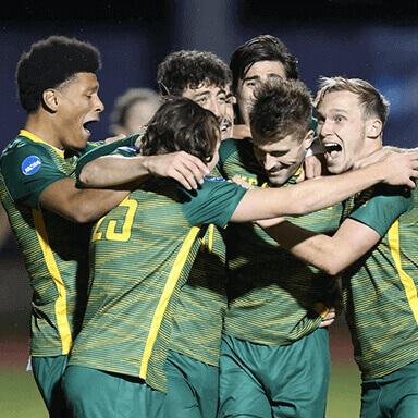 Mens soccer players celebrate a win.