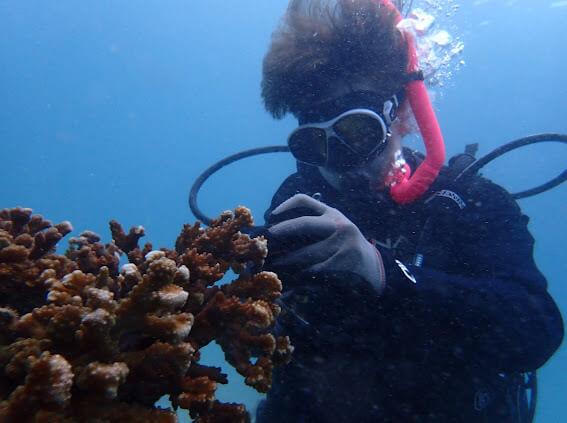 Fiona Legg submitted photo: student researching coral