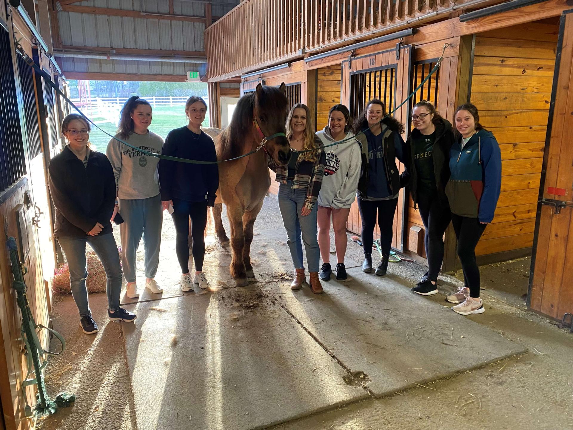 Co-op Barn Students with a horse