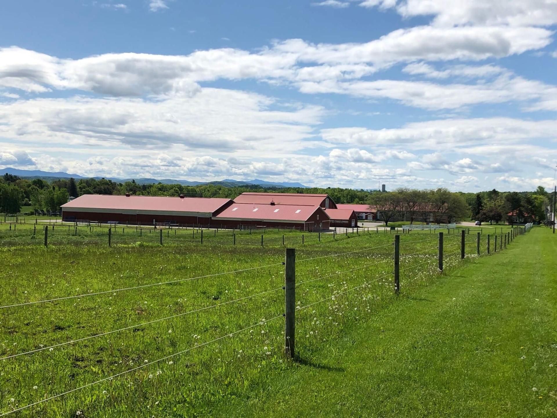 Coop Pasture