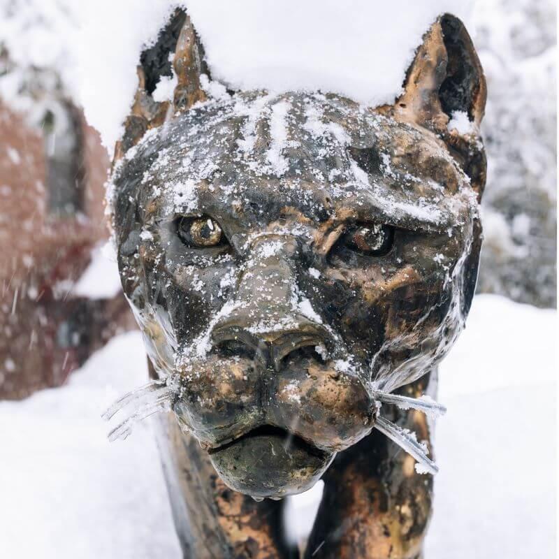 Catamount statue during winter.