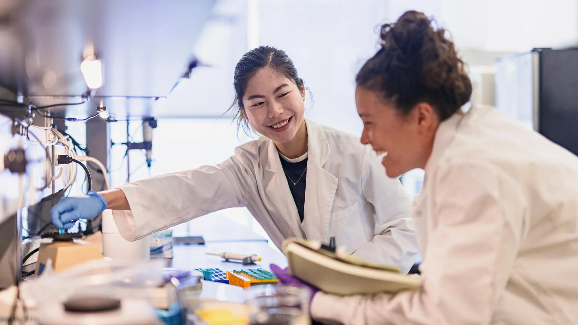 Researchers in a laboratory