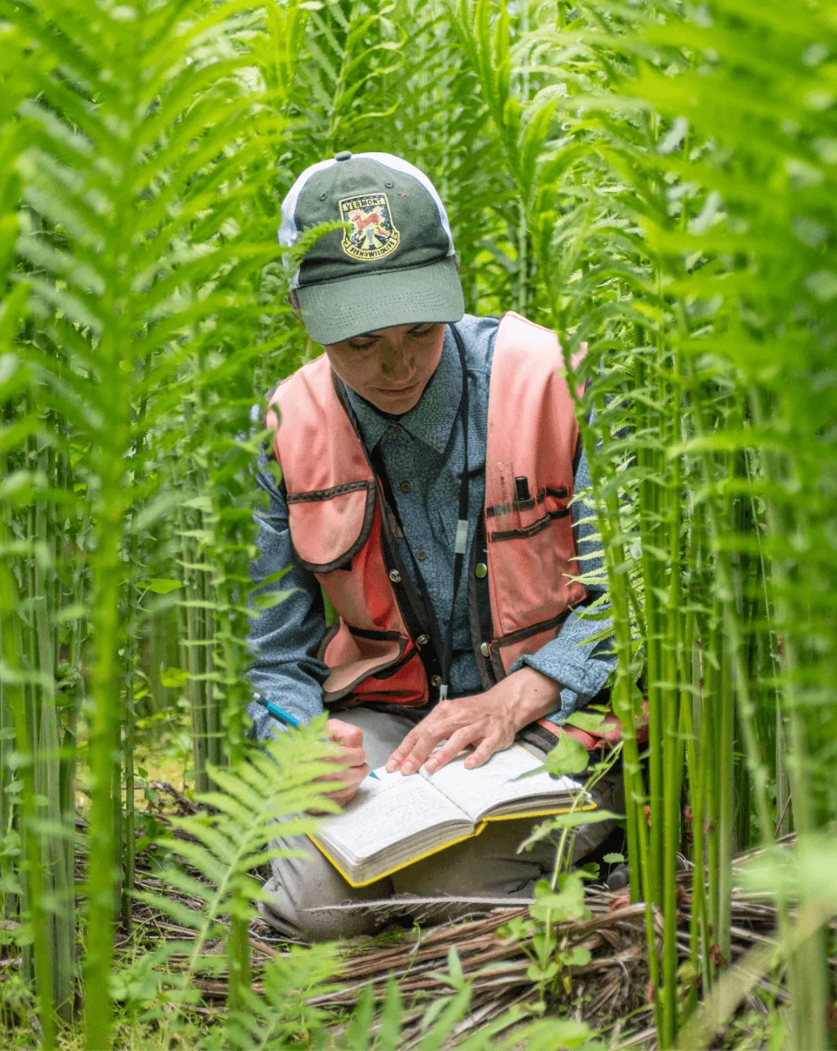 a botanist in an orange vest sits among ferns over her head, writing in a notebook