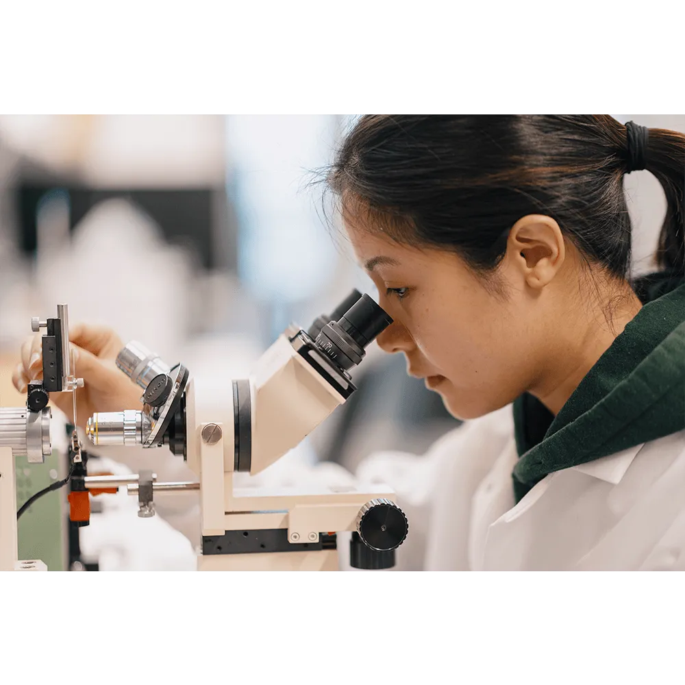 A student looks through a microscope