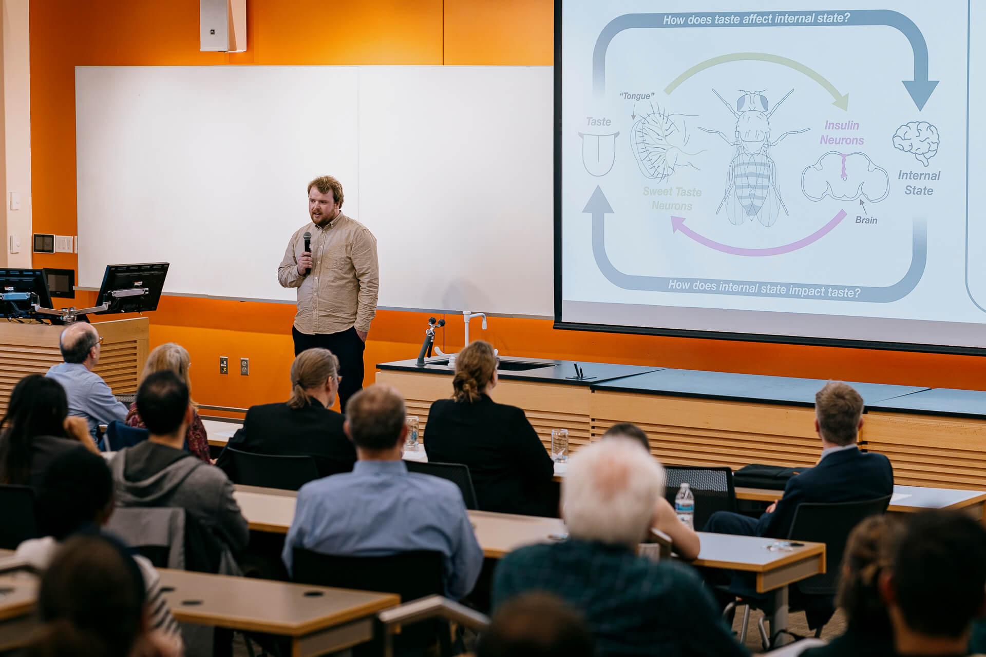 A PhD student delivers their 3 Minute Thesis
