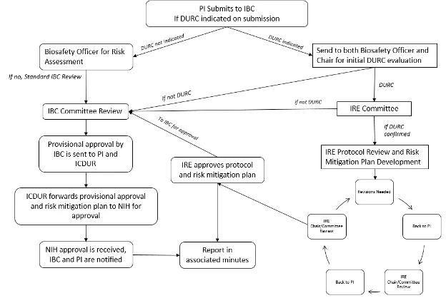 A chart outlinging RPO IBC DURC Protocols