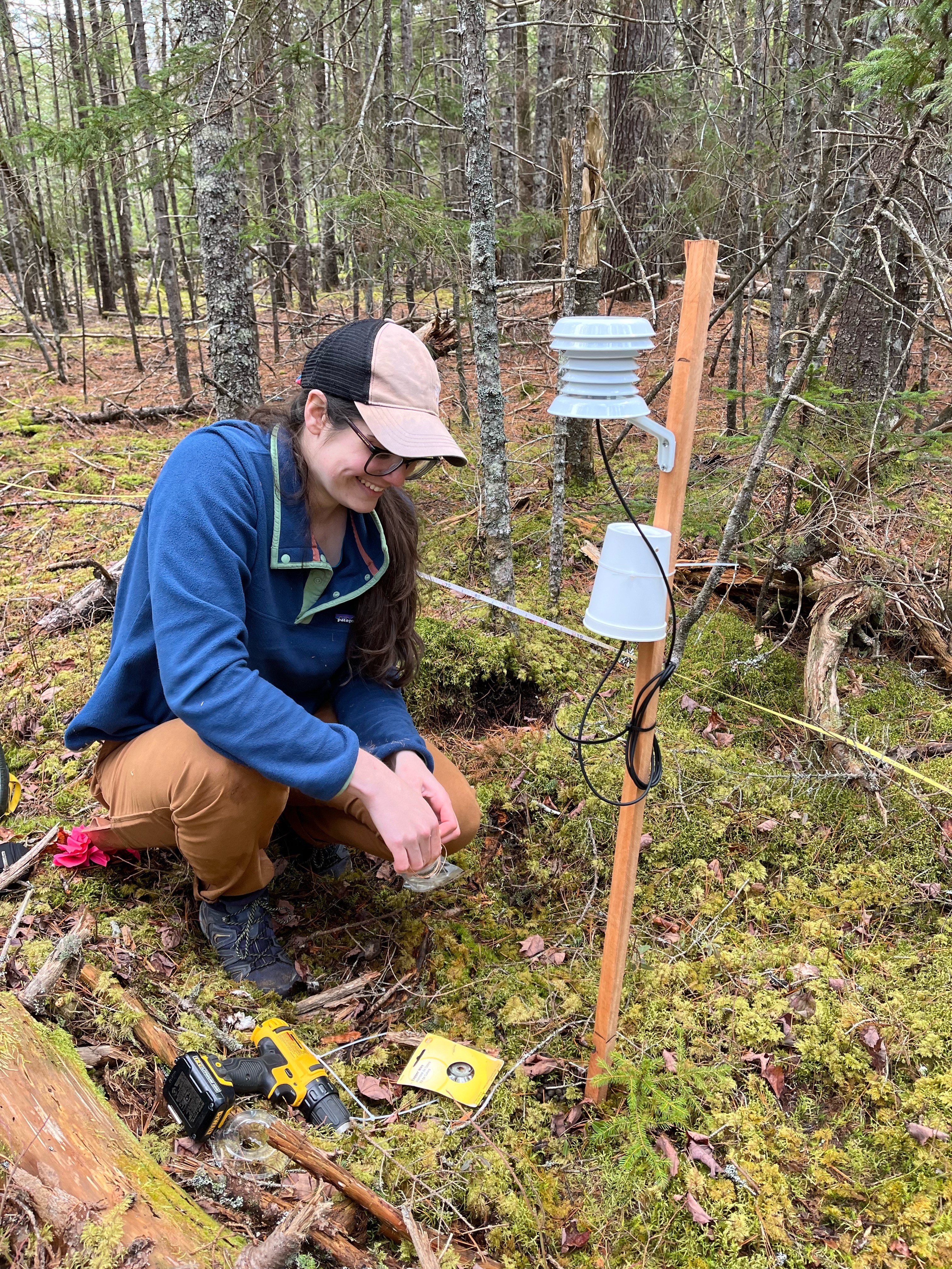 Woman squatting on the ground in a forest near a stake with forestry sensors
