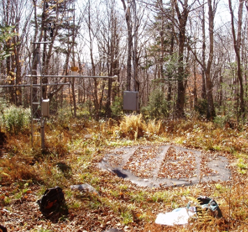 VMC Soil Climate Analysis Network site at Lye Brook Wilderness Area in Manchester, VT.