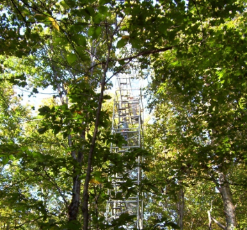 VMC forest canopy tower at the Proctor Maple Research Center in Underhill, VT.