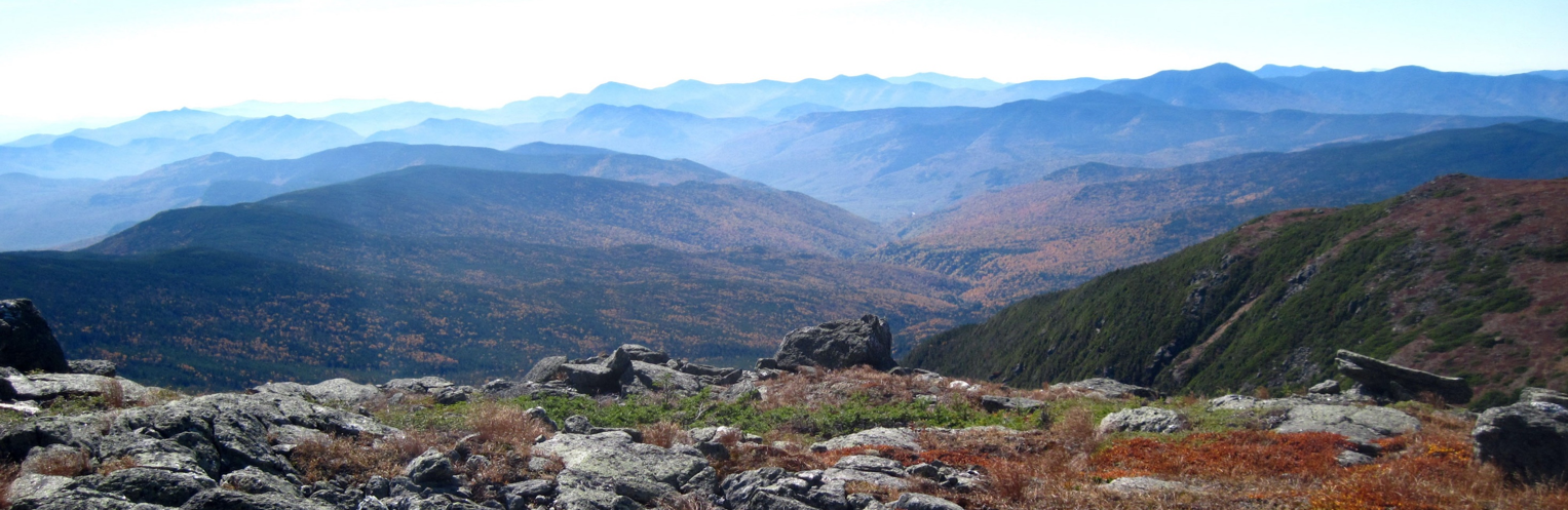 view from White Mountains National Forest