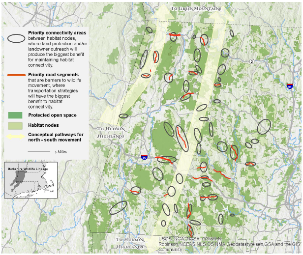 Thumbnail for The Berkshire wildlife linkage: connecting the Green Mts to Hudson Highlands for wildlife and people