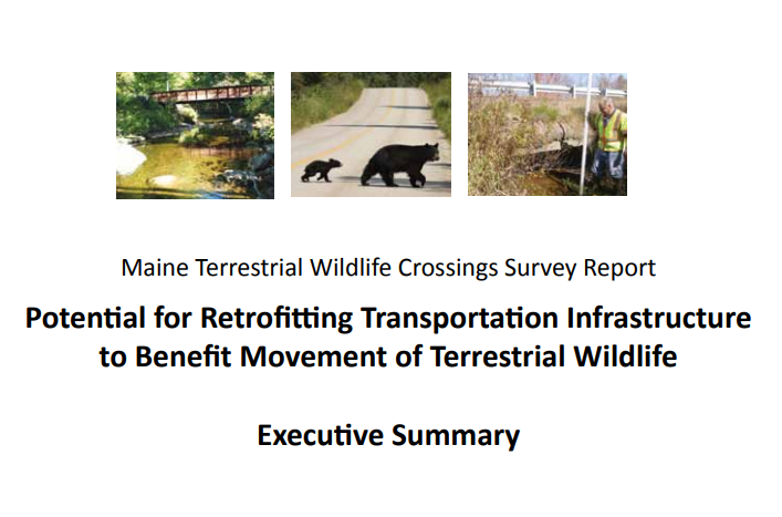 Thumbnail for Potential for retrofitting transportation infrastructure to benefit movement of terrestrial wildlife