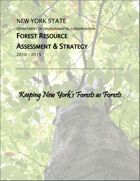 Thumbnail for Forest Resource Assessment and Strategy: Keeping New York's Forests as Forests