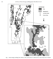 Thumbnail for Effects of ice storm-created gaps on forest breeding bird communities in central Vermont