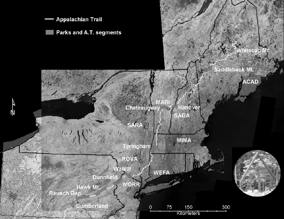 Thumbnail for Remote sensing of land-cover change and landscape context of the National Parks: a case study of the Northeast Temperate Network