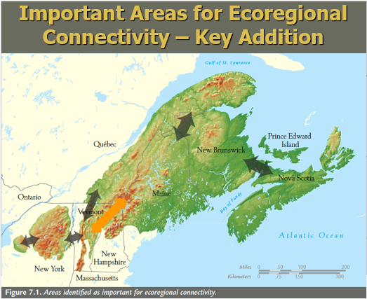 Thumbnail for Ecoregional habitat connectivity science applied at multiple scales in transportation