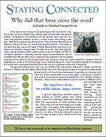 Thumbnail for Why did that bear cross the road? A guide to habitat connectivity
