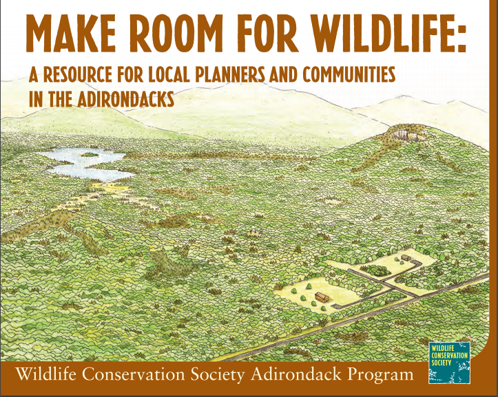 Thumbnail for Make room for wildlife: a resource for local planners and communities in the Adirondacks