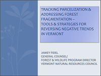 Thumbnail for Tracking parcelization and addressing forest fragmentation: tools and strategies for reversing negative trends in Vermont