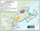 Thumbnail for Priority linkages in the northern Appalachian-Acadian region