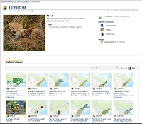 Thumbnail for North Atlantic landscape conservation cooperative data basin