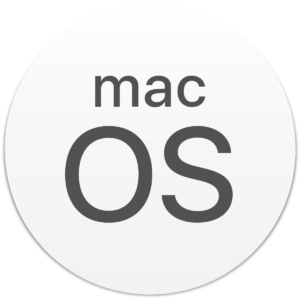 mac os big sur can not installed on macintosh hd