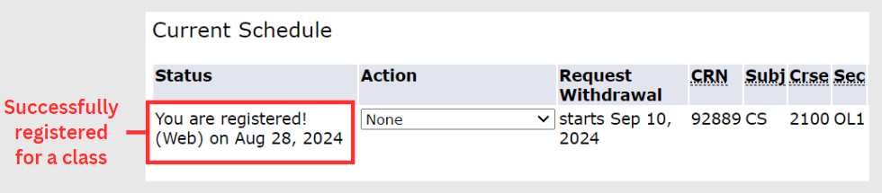 Successful registration in self service