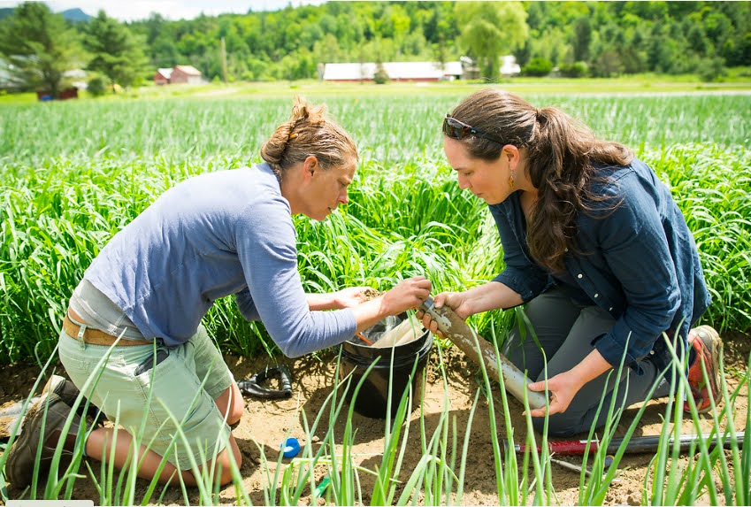 State Of Soil Health In Vermont Northwest Crops And Soils Program The University Of Vermont