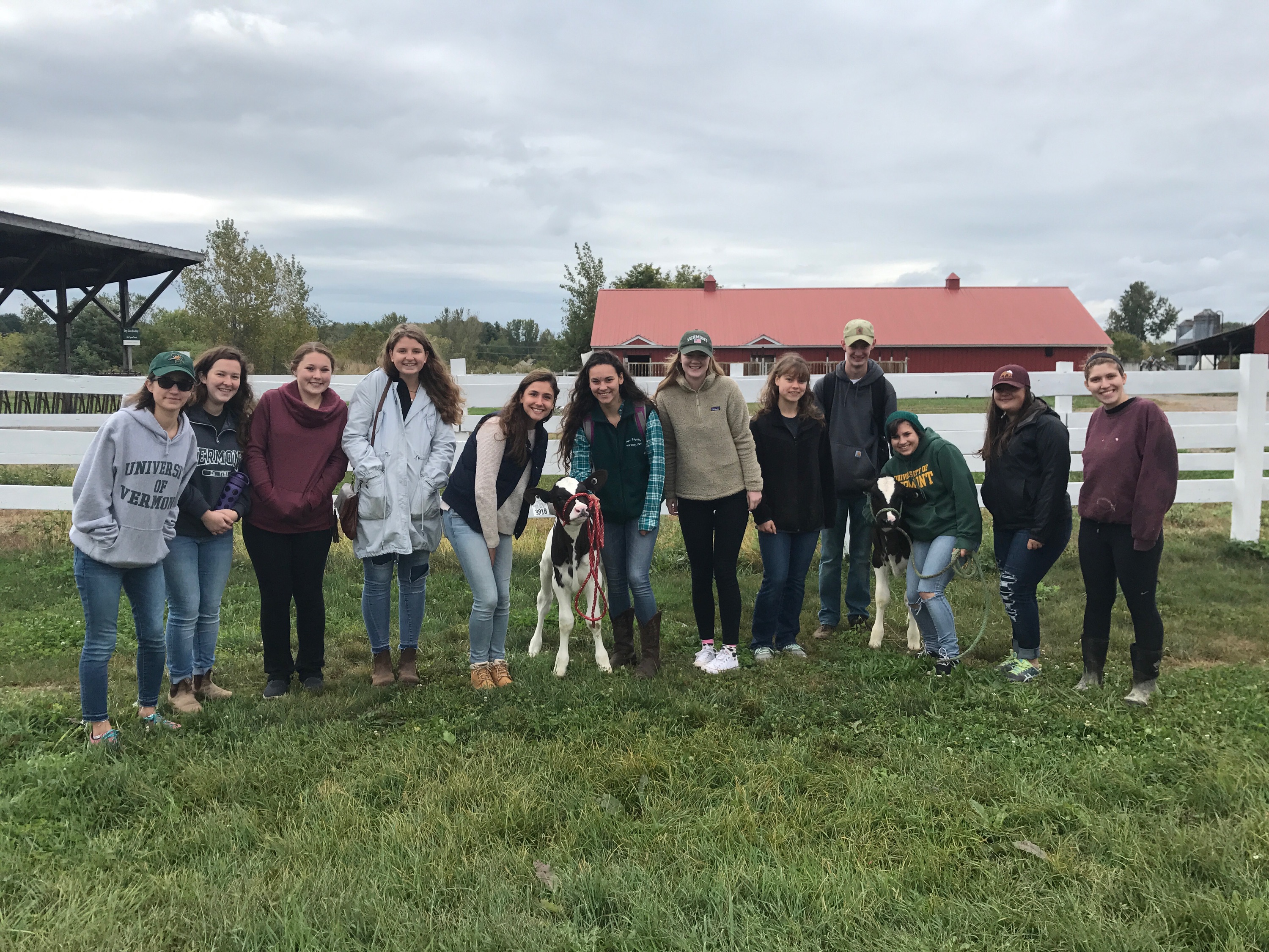 Students stand with calf outside