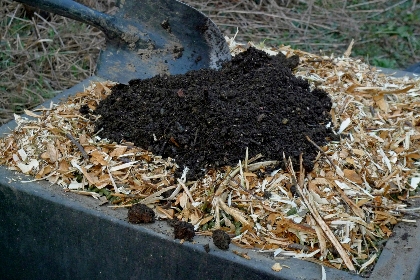 Composting 101 | University Communications | The University Of Vermont