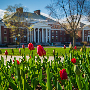 The University of Vermont