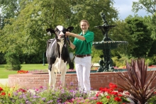 Student posing with show ready cow