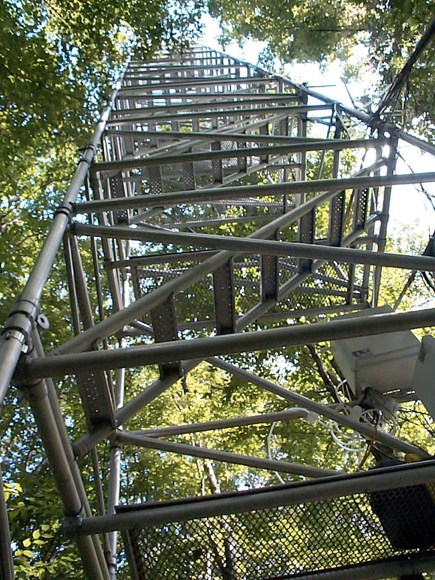 View looking up the VMC 22 m forest canopy research tower