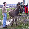 Sr. Mary John and Burro.jpg