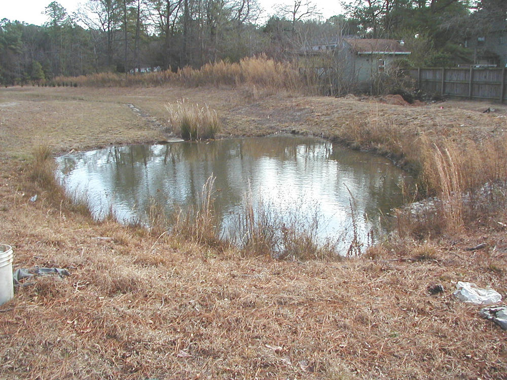 web pond