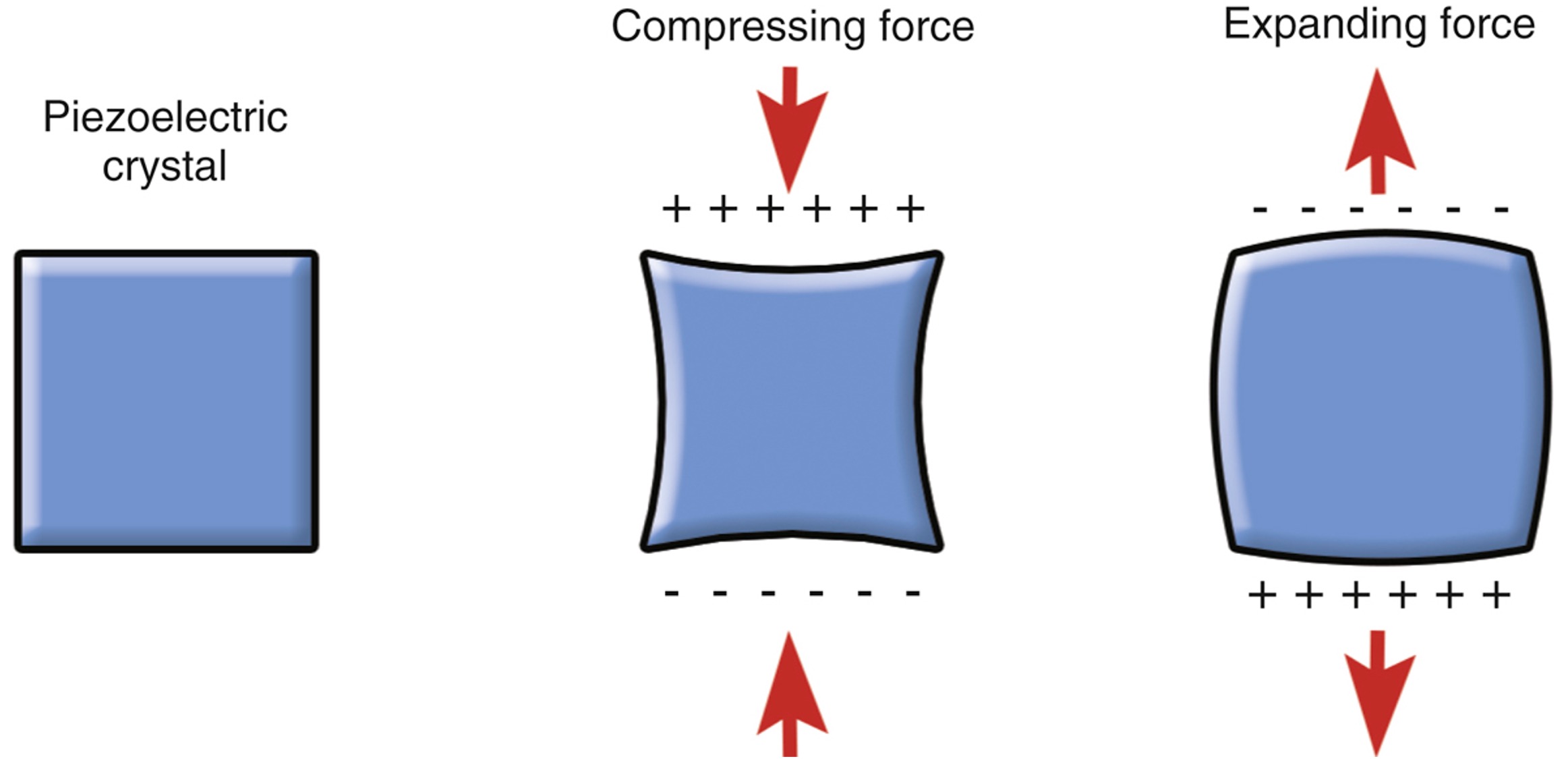 Basic Ultrasound Physics - Piezo crystals