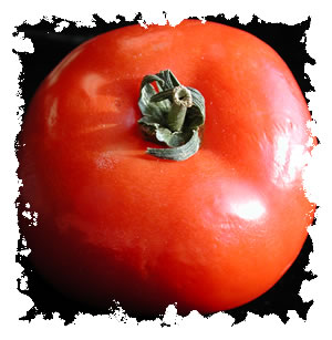 tomato image